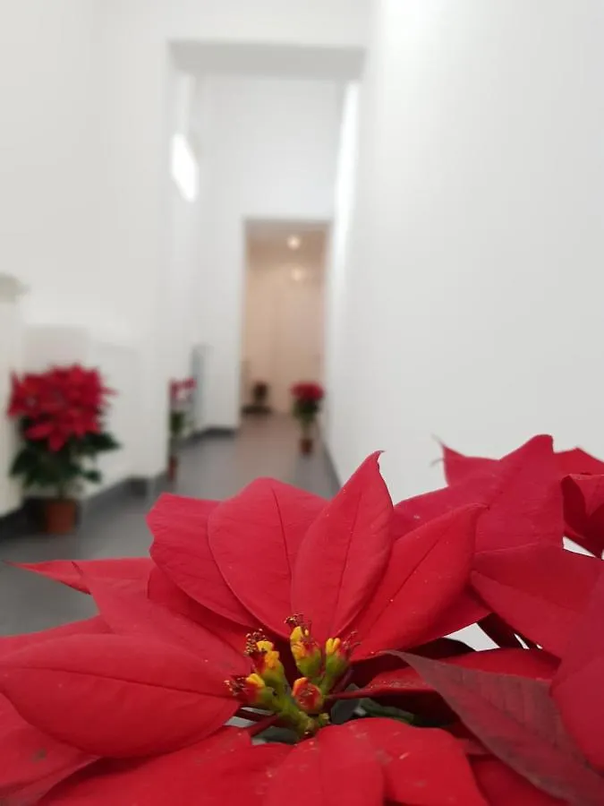 ** Bed & Breakfast Pupi 93 Rooms Palermo Italien